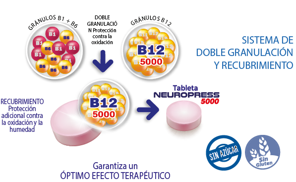 Diagrama del sistema de doble granulado y recubrimiento — proceso de fabricación de Neuropress 5000